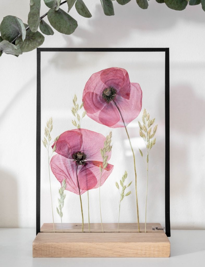 Productfotografie voor By Manoa | Handgemaakte lijstjes van glas met gedroogde bloemen.