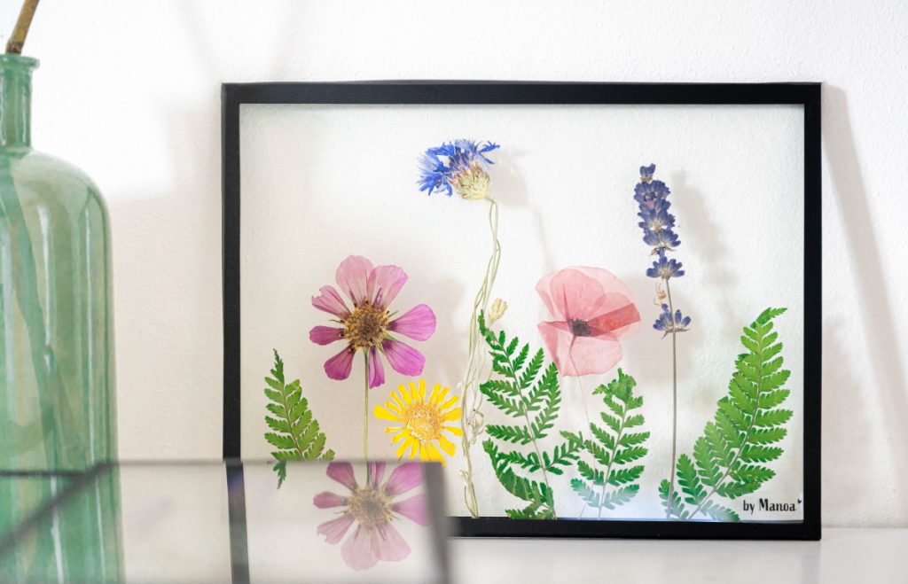 Productfotografie voor By Manoa | Handgemaakte lijstjes van glas met gedroogde bloemen.